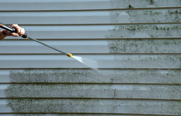 Best Gutter Cleaning  in Spencerville, OH